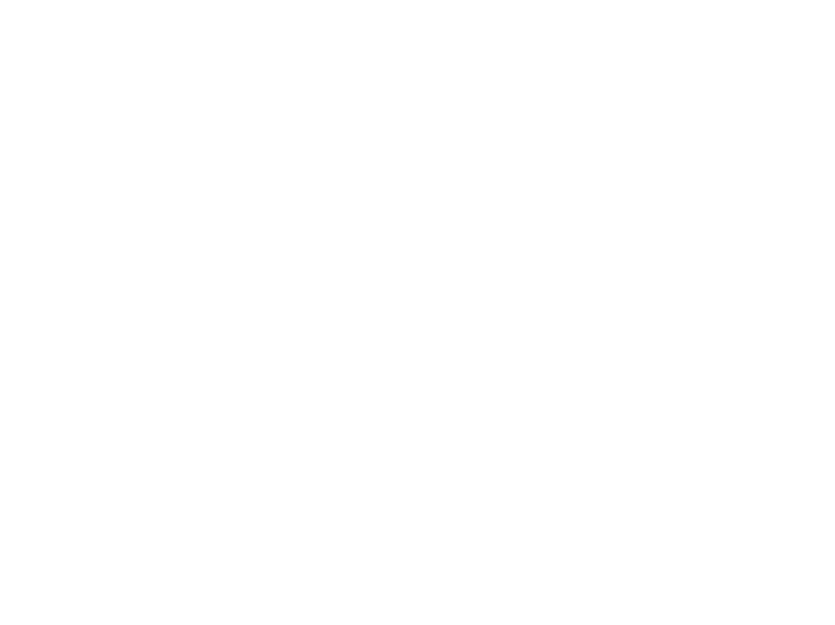 Aatmaan Foundation logo